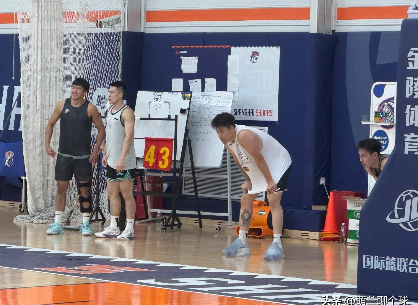 上海男篮蓄势待发,准备在下一场比赛大获全胜的简单介绍 上海男篮蓄势待发,准备在下一场比赛大获全胜的简单介绍