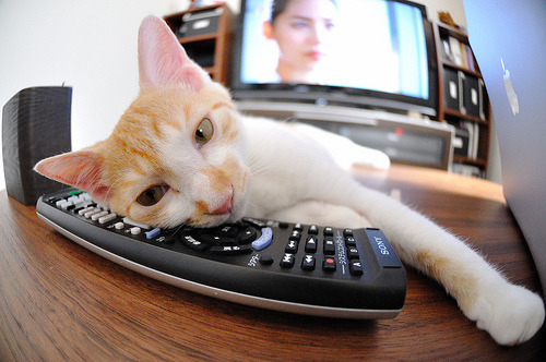 华体会官网-无声的咆哮，欧冠半决赛夜，铁卫阿坎吉化为决胜尖刀